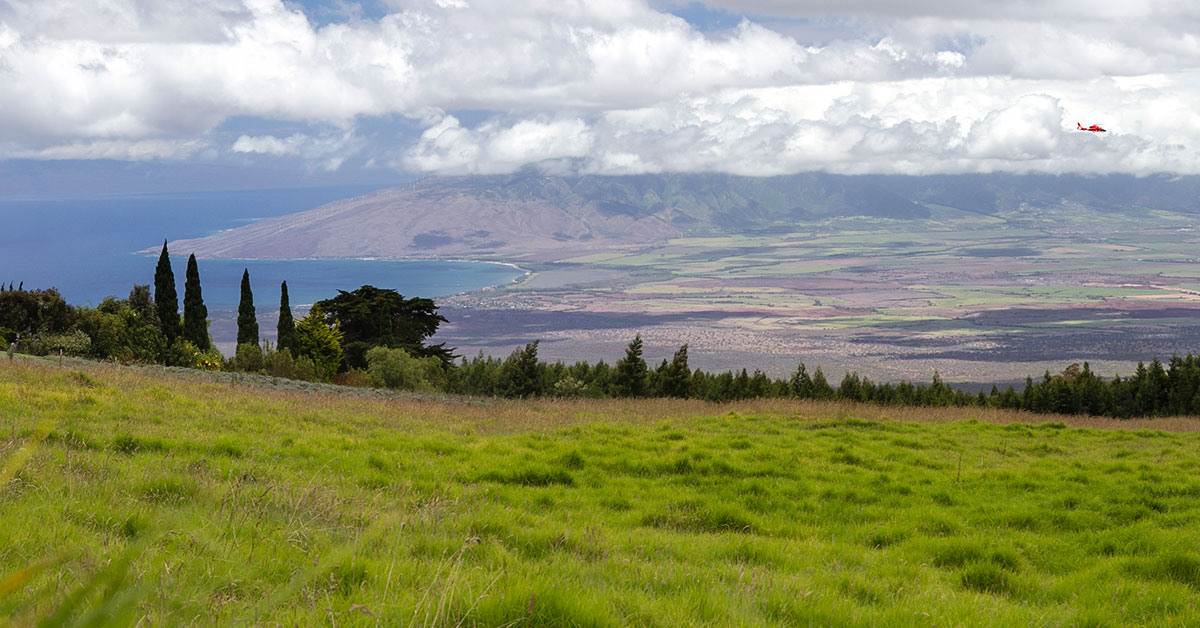 A Guide to Kula - Upcountry, Maui, Hawaii