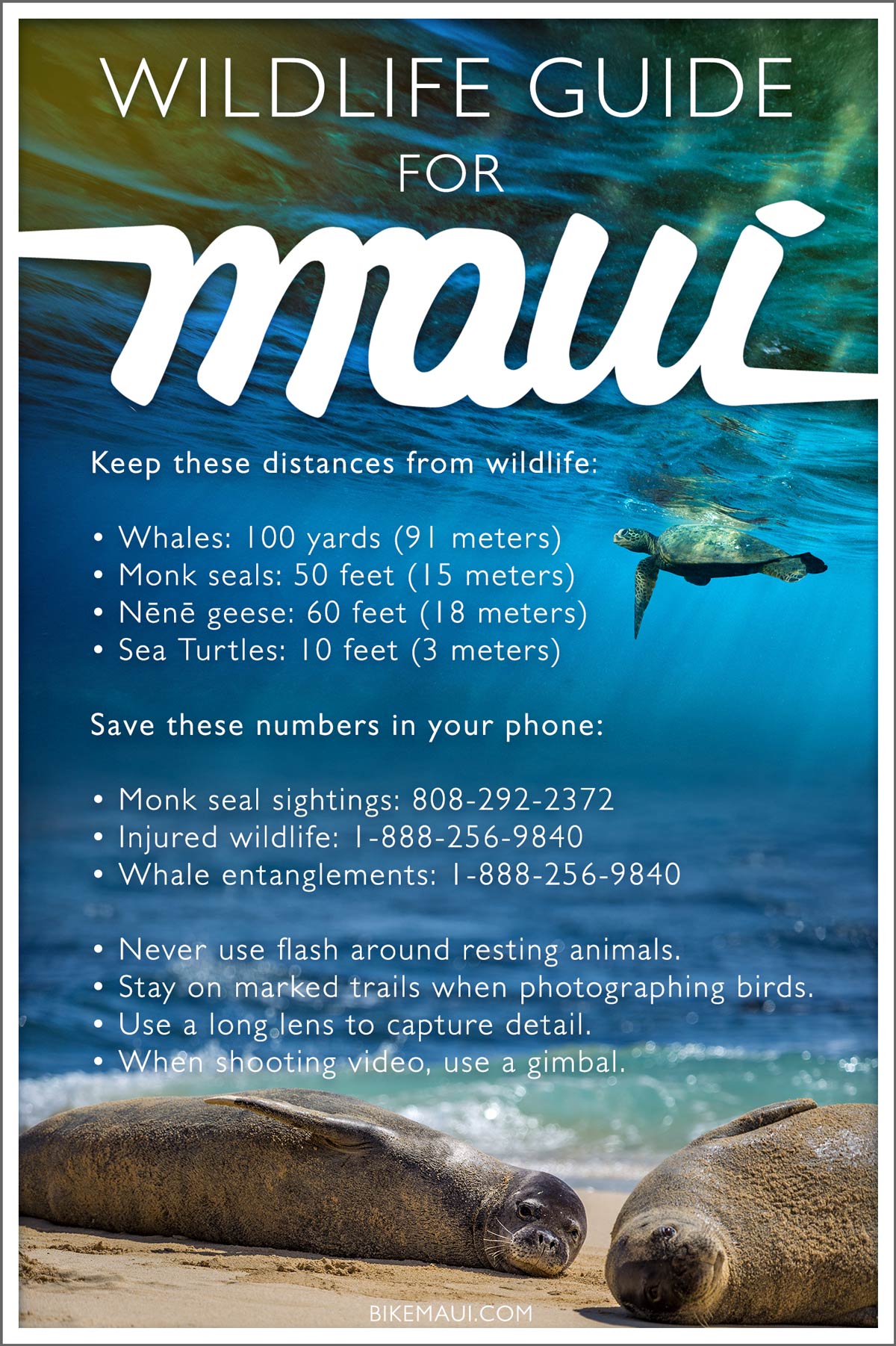 Maui wildlife guide